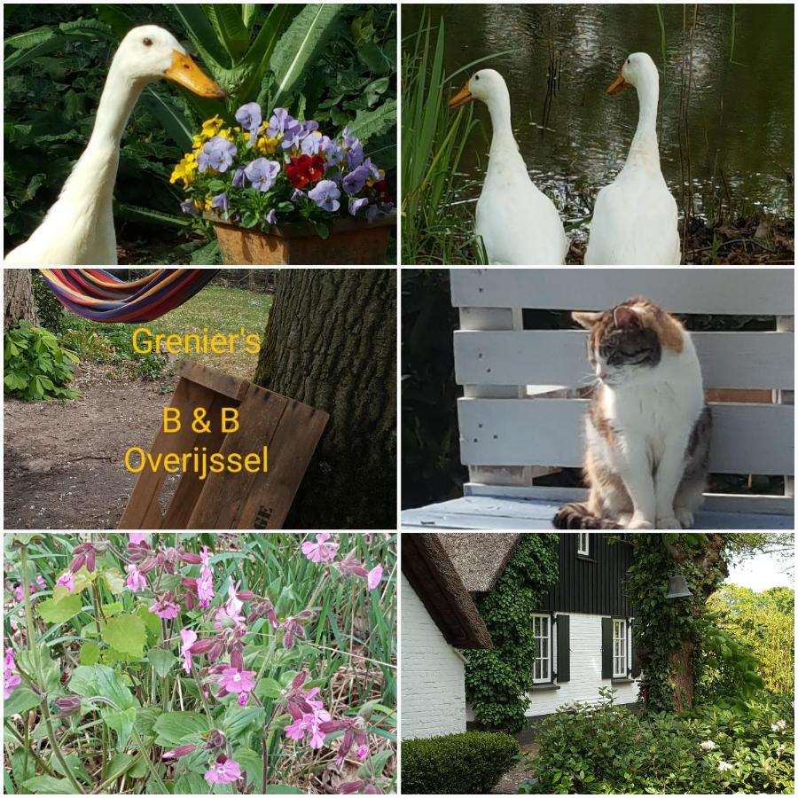 Bed and Breakfast Grenier'S Punthorst Esterno foto